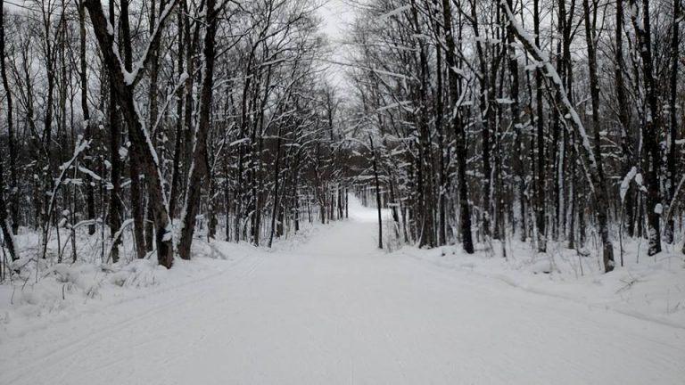 Read more about the article We checked out the Birkie Trail yesterday